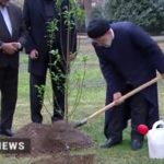 کاشت درخت به دست رئیس‌جمهور